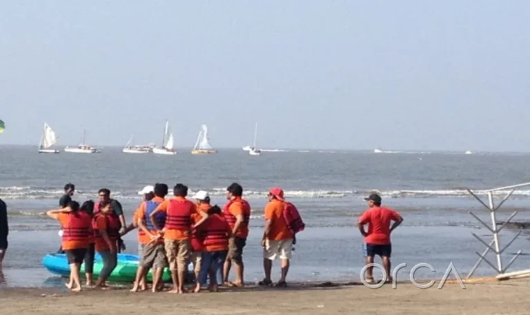 A corporate team on the beach before a sailing session with Orca Sail