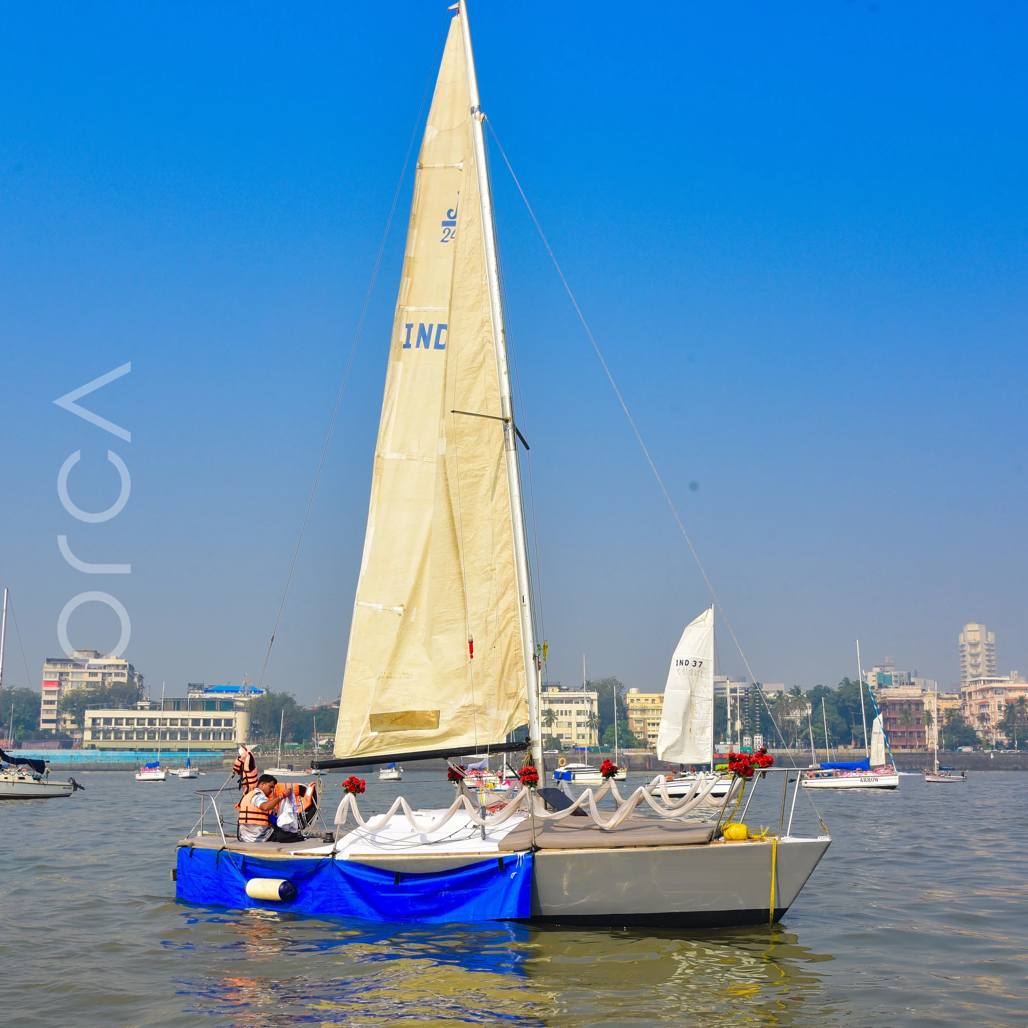 A side view of a J24 sailboat moored in Mumbai harbour, available to rent from Orca Sail.
