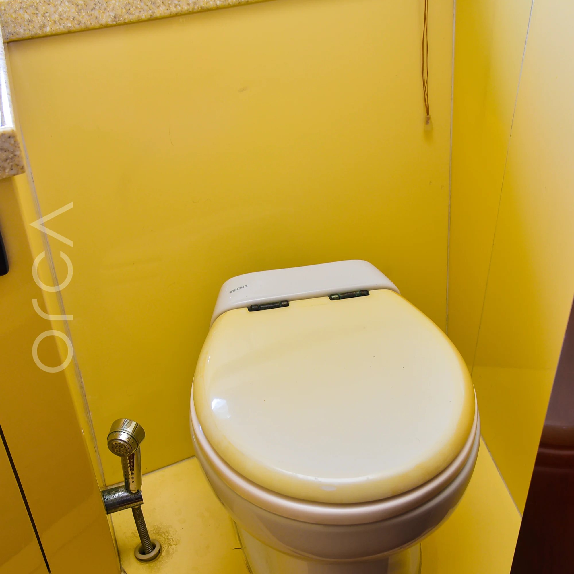 The bathroom aboard a Majesty 44 motor yacht in Mumbai, with a marine toilet and hand shower, available to rent from Orca Sail.