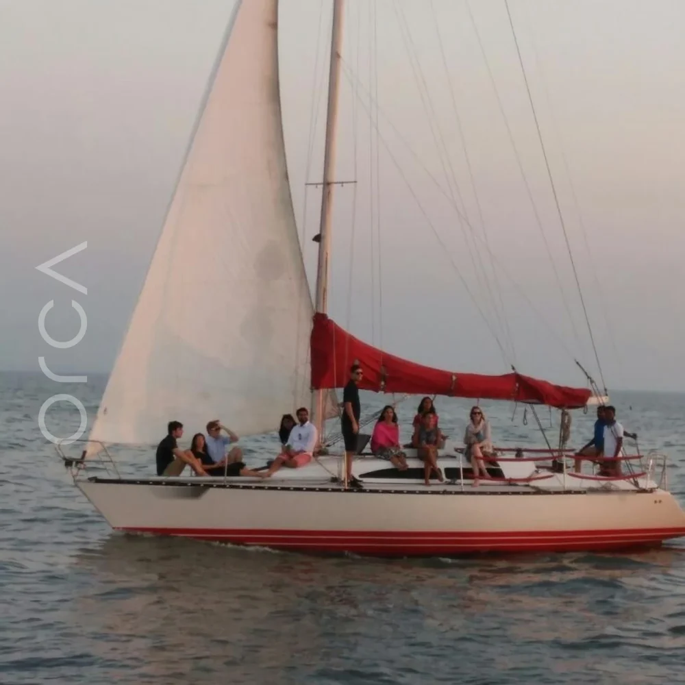 The XS37 sail yacht on the water in Mumbai, representing the boats available to rent from Orca Sail.