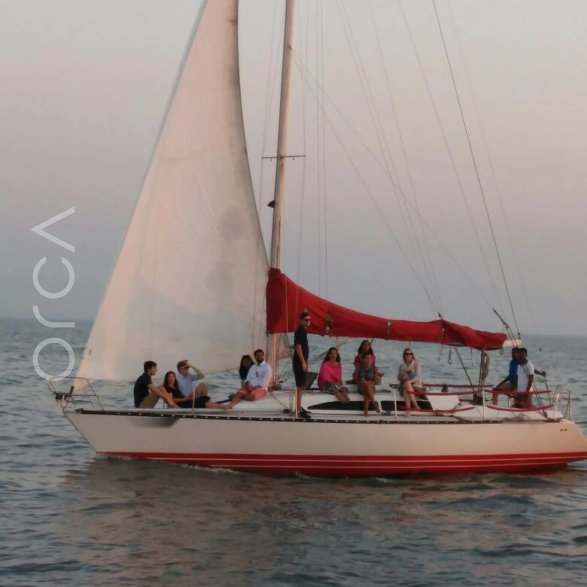 The XS37 sail yacht on the water in Mumbai, representing the boats available to rent from Orca Sail.