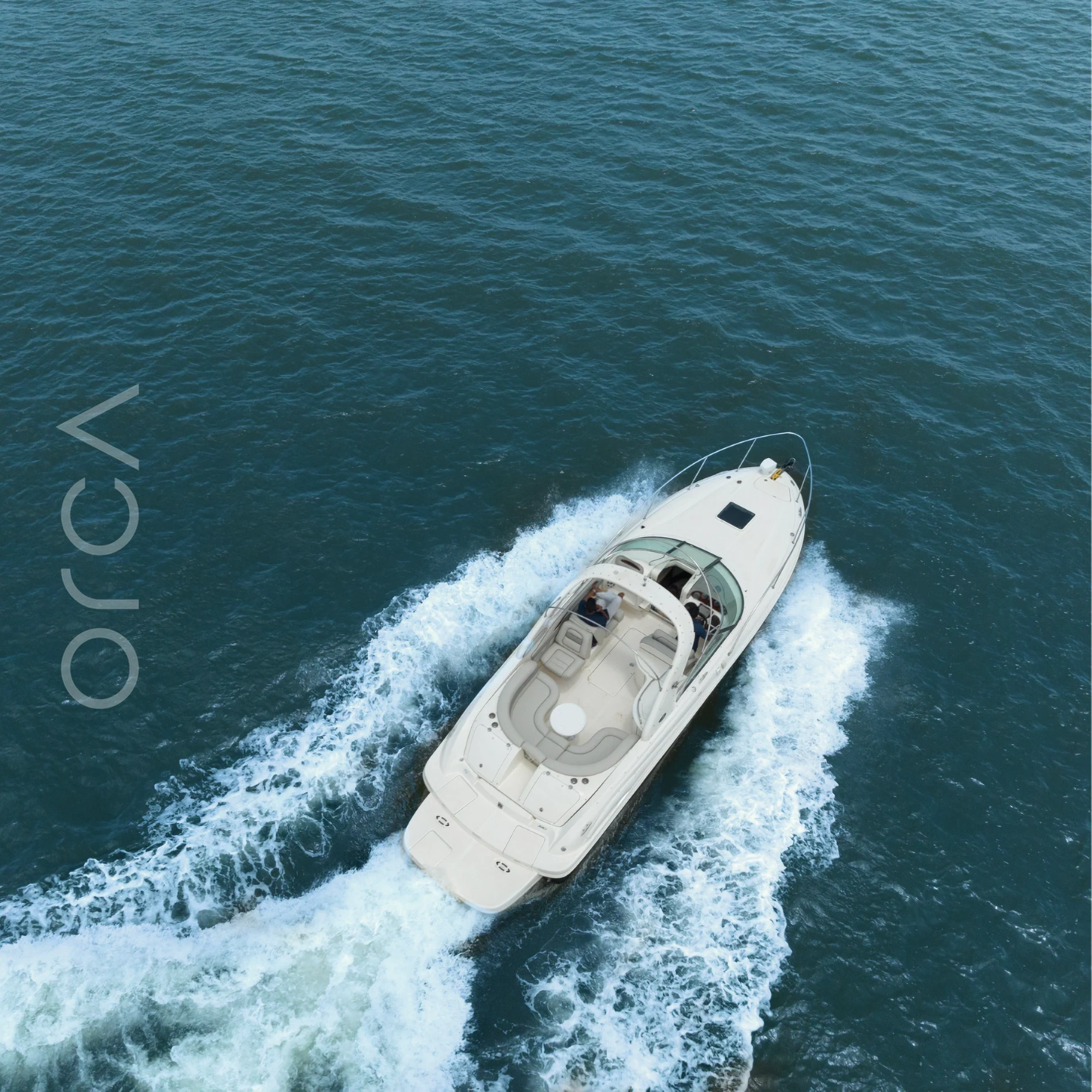 Guests aboard a Sea Ray 290 cabin cruiser in Goa, available to rent from Orca Sail.