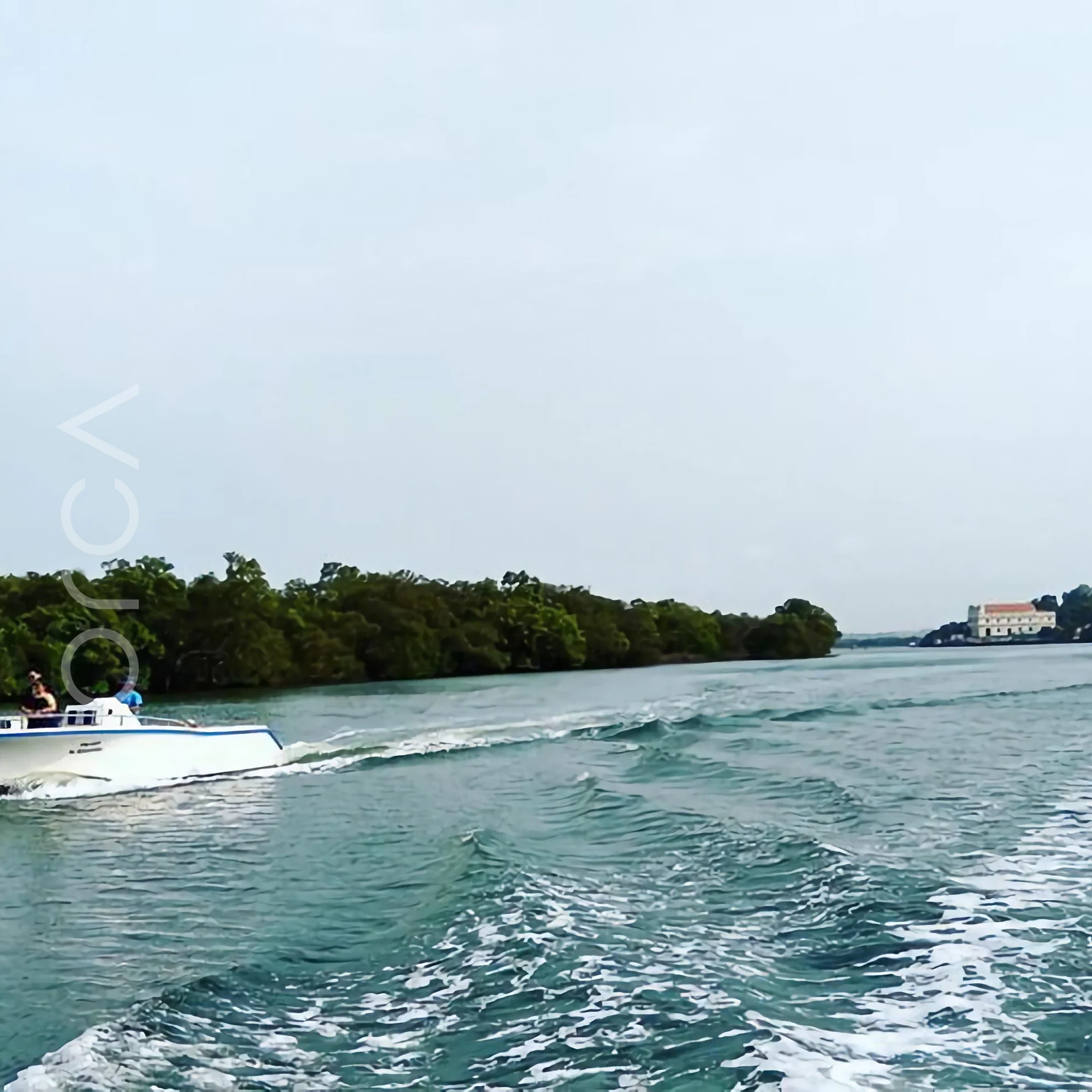 Guests aboard a Rediscovery 26 speedboat in Goa, available to rent from Orca Sail.